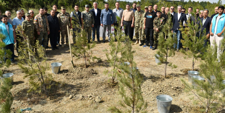Yasamal rayonunda agacəkmə aksiyası keçirilib