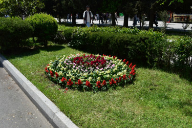 Yasamal rayonunda abadlıq işləri