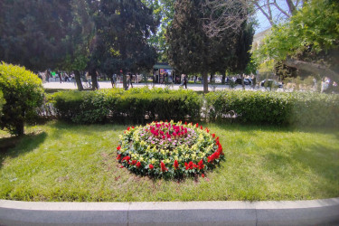 Yasamal rayonunda abadlıq işləri