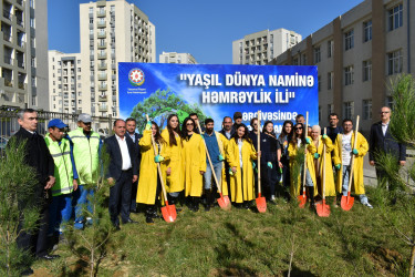 Yasamal rayonunda ağacəkmə aksiyası keçirilib