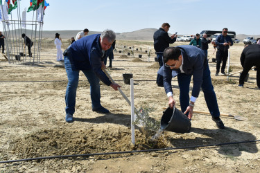 Yasamal rayon ictimaiyyəti ekoloji aksiya həyata keçirib