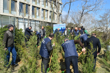 Yasamal rayonunda növbəti ekoloji aksiya