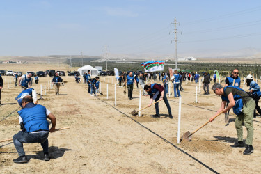 Yasamal rayon ictimaiyyəti ekoloji aksiya həyata keçirib