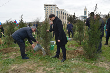 Yasamal rayonunda ekoloji aksiya keçirilib