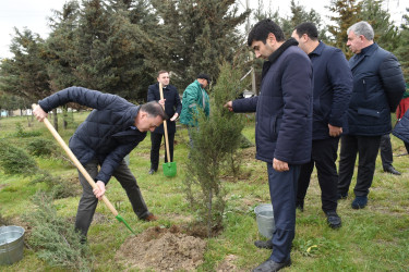 Yasamal rayonunda ekoloji aksiya keçirilib