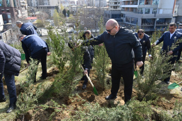 Yasamal rayonunda növbəti ekoloji aksiya