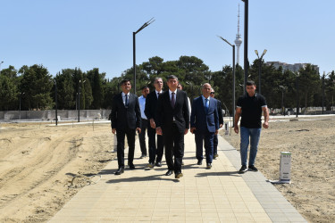 Yasamal RİH-in başçısı İkinci Fəxri Xiyabanda aparılan işlərlə tanış olub