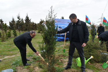 Yasamal rayonunda ekoloji aksiya keçirilib