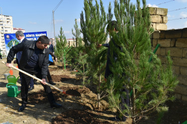 Yasamal rayonunda növbəti ekoloji aksiya keçirilib