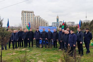 Yasamal rayonunda ekoloji aksiya keçirilib