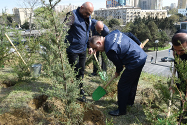 Yasamal rayonunda növbəti ekoloji aksiya