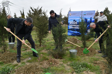 Yasamal rayonunda ekoloji aksiya keçirilib